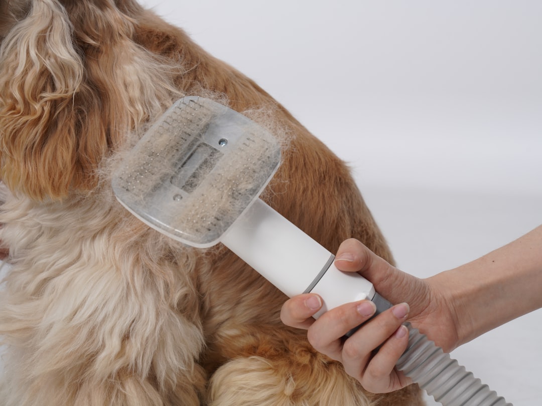 Essential Pet Care Products and Accessories: A Guide to Safe, Eco-Friendly, and Practical Choices for Dog Owners